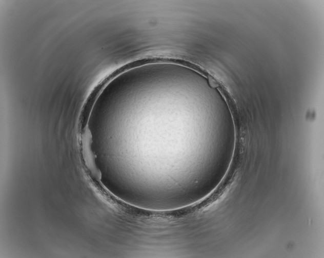 X0000091010981200708091558