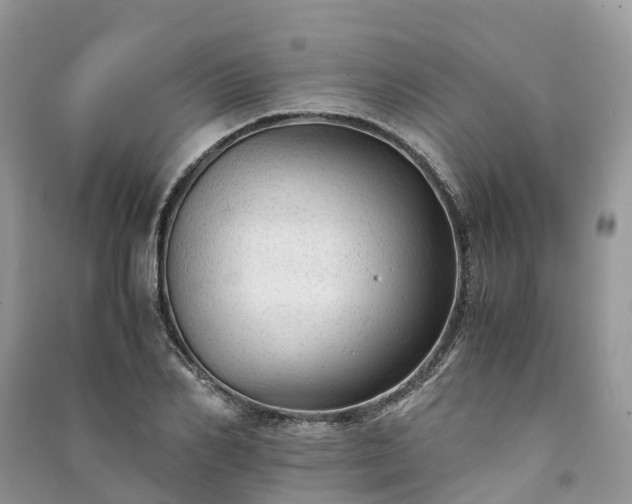 X0000091010982200708091558