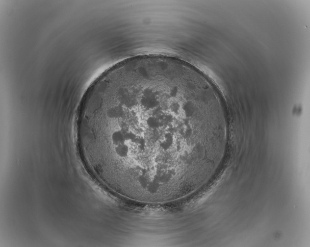 X0000091010983200708091558