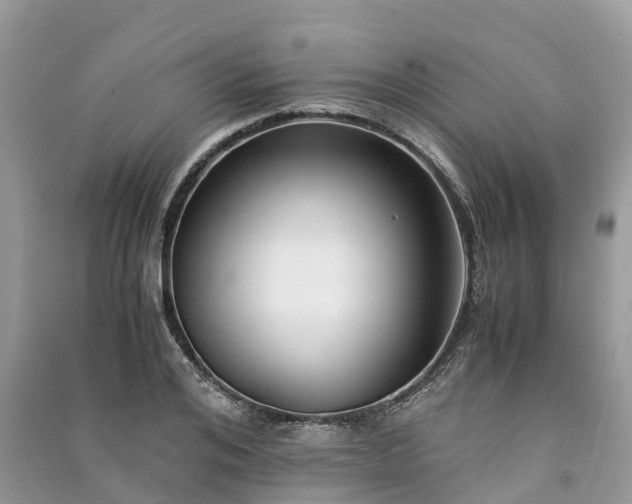 X0000091010984200708091558