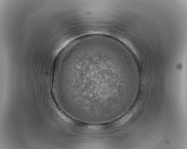 X0000091010985200708091558