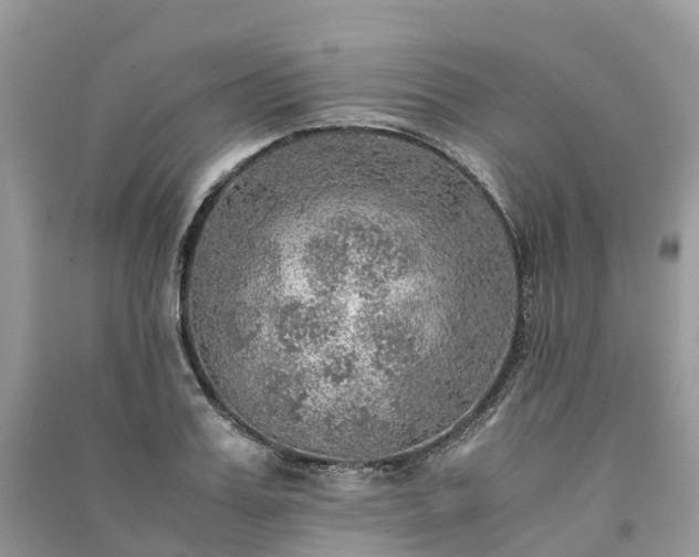 X0000091010987200708091557