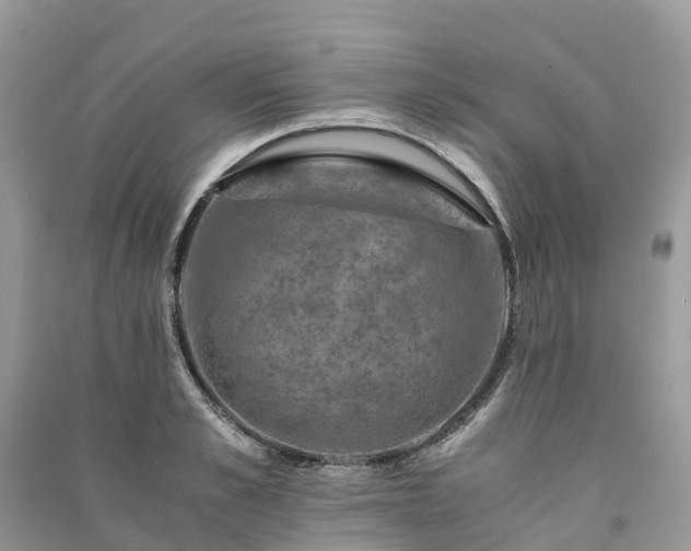 X0000091010989200708091557
