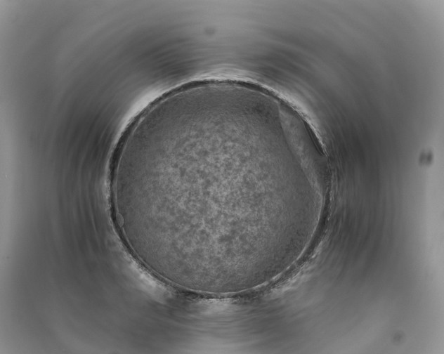 X0000091010990200708091557