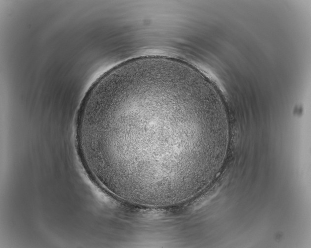 X0000091010991200708091557