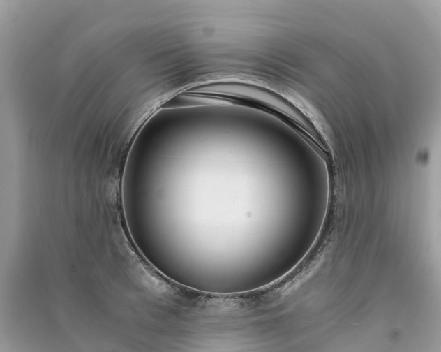 X0000091010993200708091557