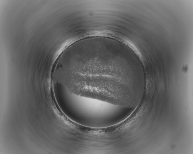 X0000091010994200708091557
