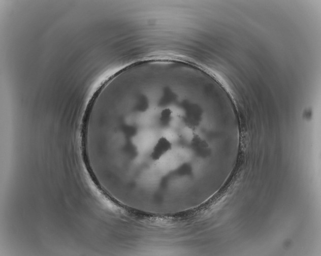 X0000091010995200708091557