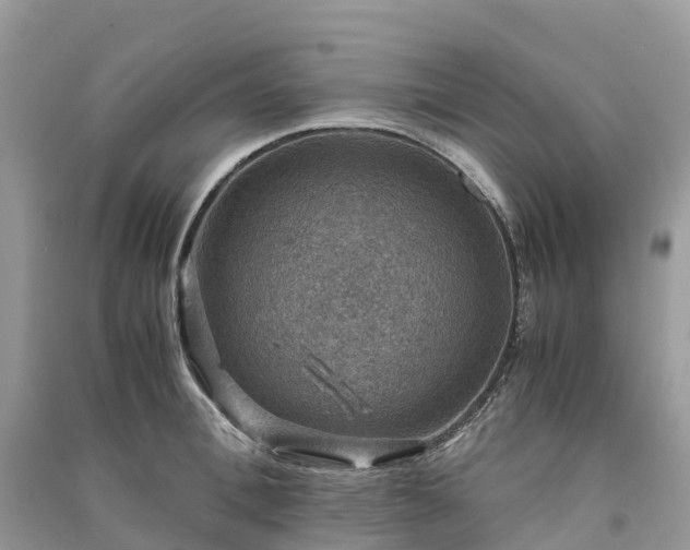 X0000091010996200708091557