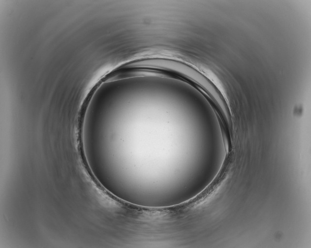 X0000091010997200708091557