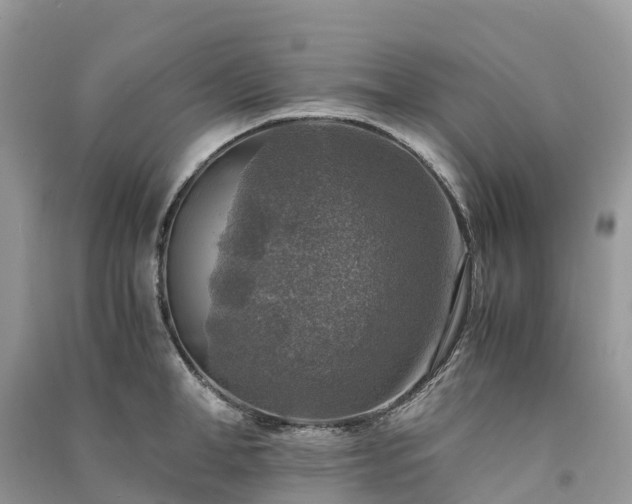 X0000091010998200708091557