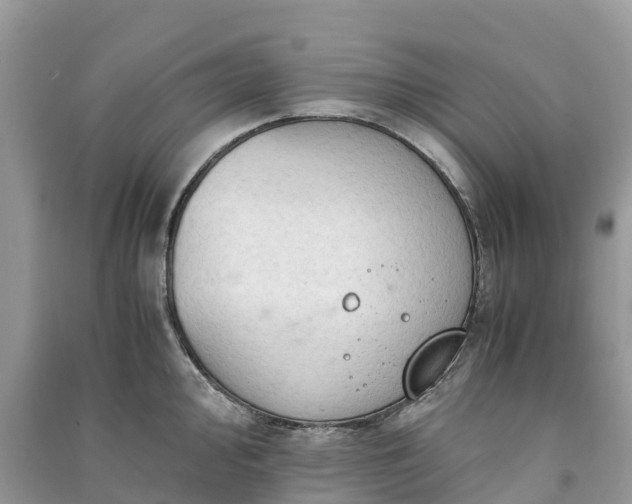 X0000091011000200708091557