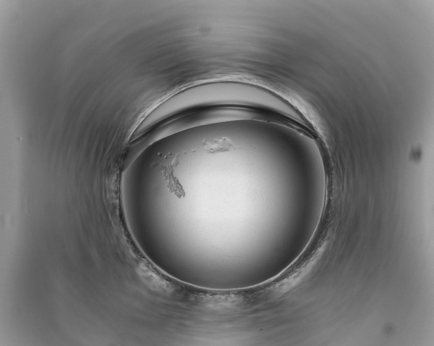 X0000091011001200708091557
