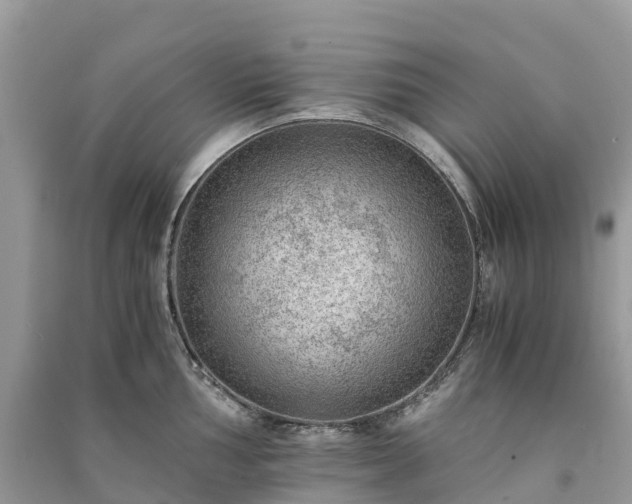 X0000091011002200708091557
