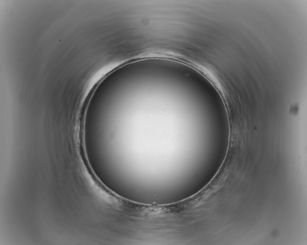 X0000091011003200708091557