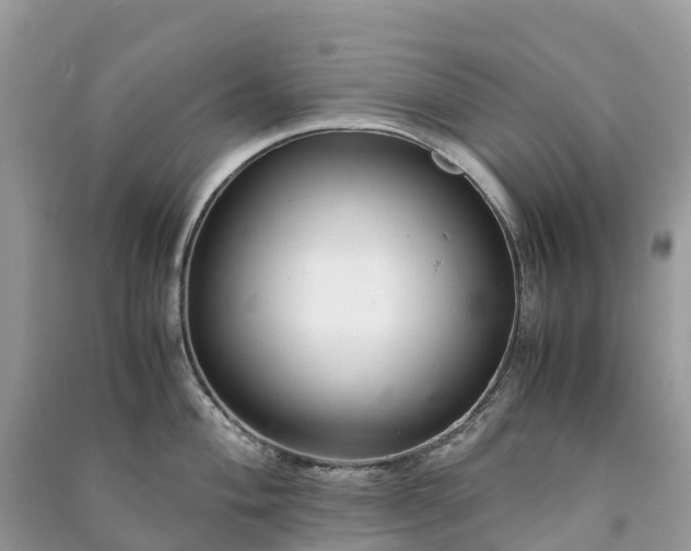 X0000091011004200708091557