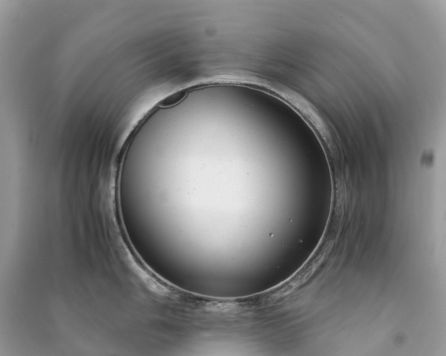 X0000091011006200708091557
