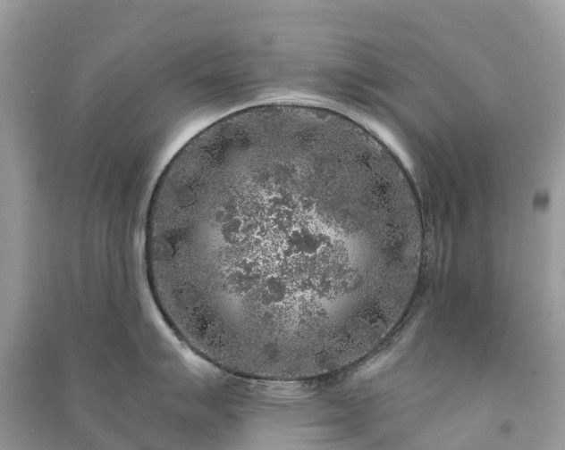 X0000091011007200708091557