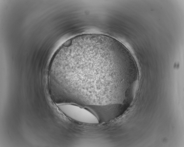 X0000091011008200708091557