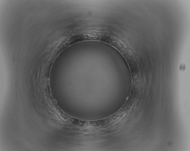 X0000091011009200708091557