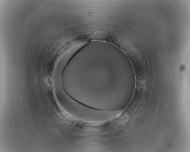 X0000091011010200708091557