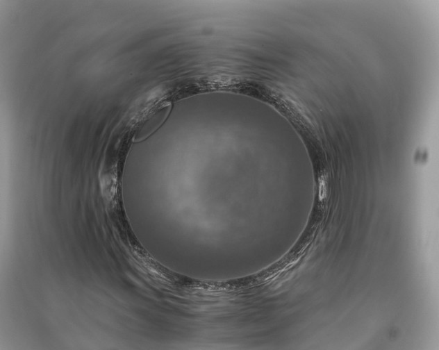 X0000091011011200708091557