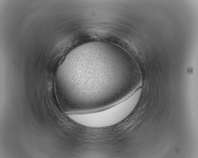 X0000091011012200708091557
