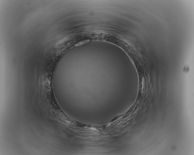 X0000091011013200708091557
