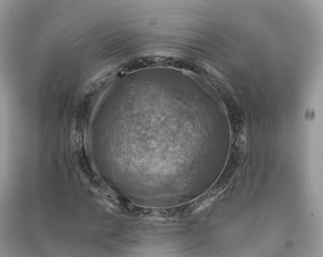 X0000091011014200708091557