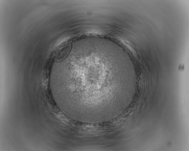 X0000091011015200708091557