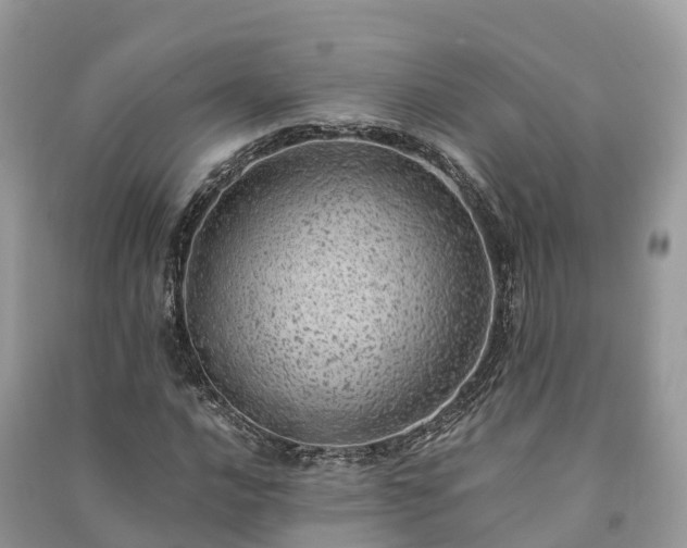X0000091011016200708091557