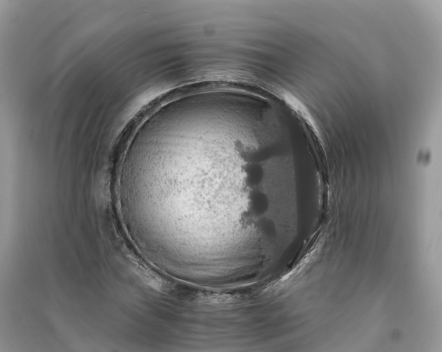 X0000091011019200708091557