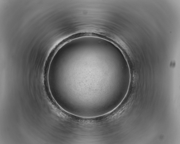 X0000091011020200708091557