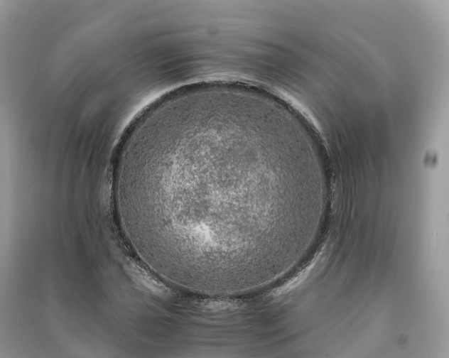 X0000091011021200708091557
