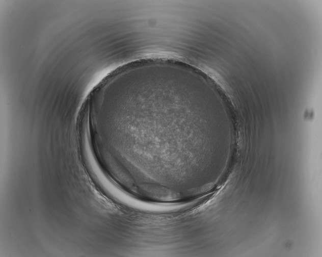 X0000091011022200708091557