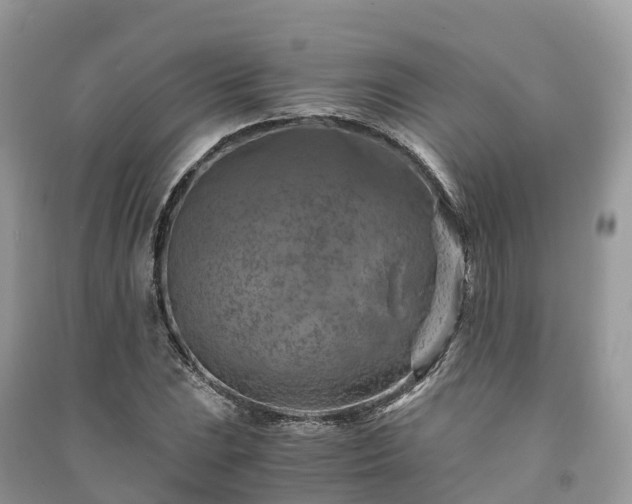 X0000091011023200708091557