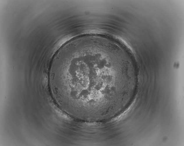 X0000091011025200708091557