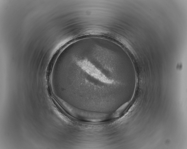 X0000091011026200708091557