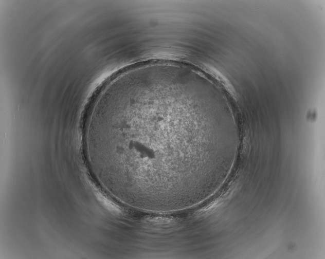 X0000091011027200708091557