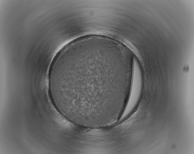 X0000091011028200708091557