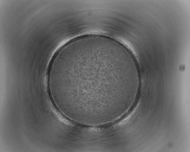 X0000091011029200708091557