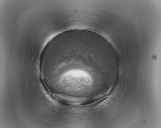 X0000091011030200708091557