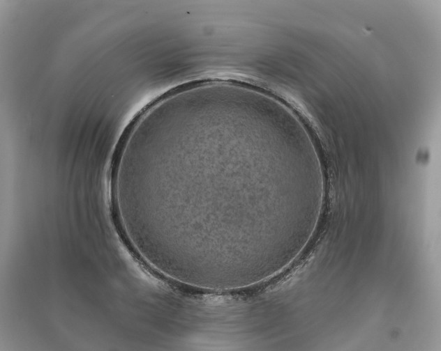 X0000091011032200708091557