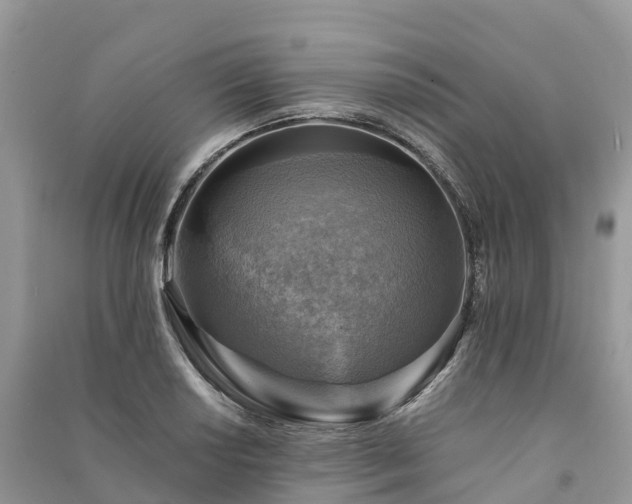 X0000091011034200708091557