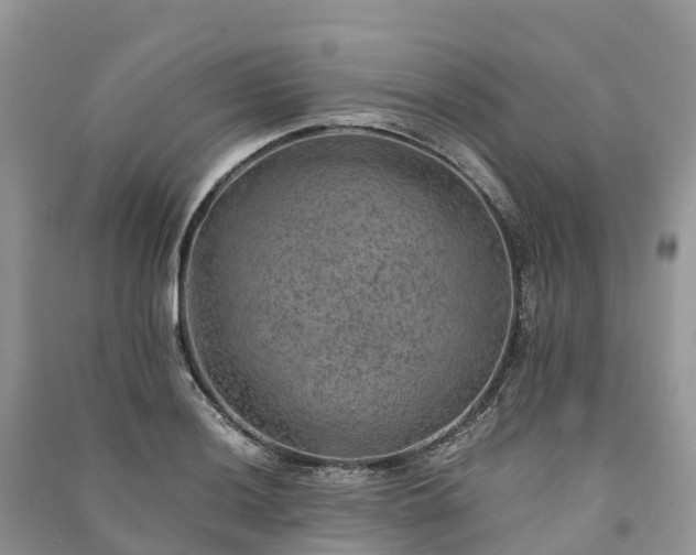 X0000091011036200708091557