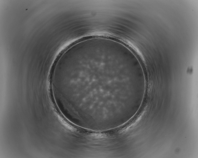 X0000091011037200708091557