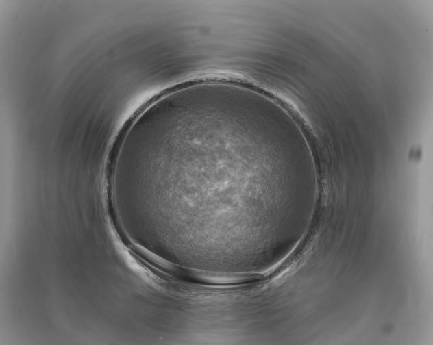 X0000091011038200708091557