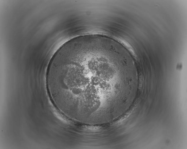 X0000091011039200708091557