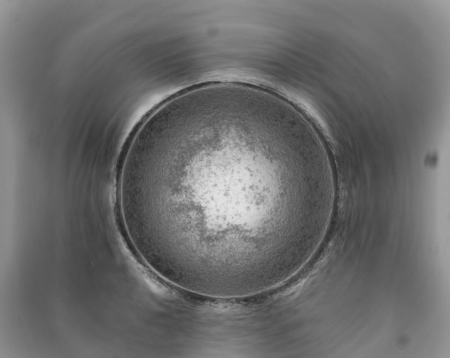 X0000091011040200708091557