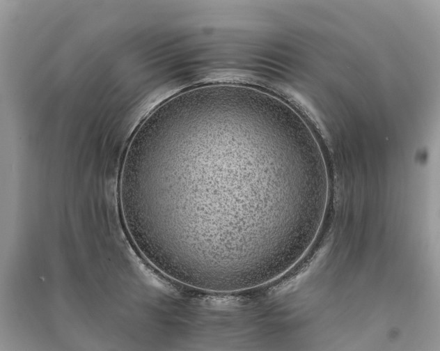 X0000091011041200708091557